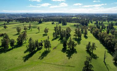 Parcelas en venta en Osorno con agua y electricidad, Proyecto Entre Pellines – Región de los Lagos