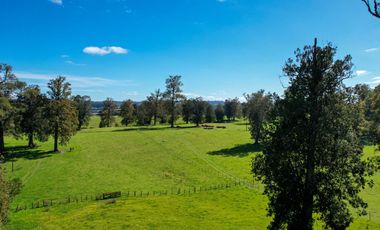 Parcelas en venta en Osorno con agua y electricidad, Proyecto Entre Pellines – Región de los Lagos