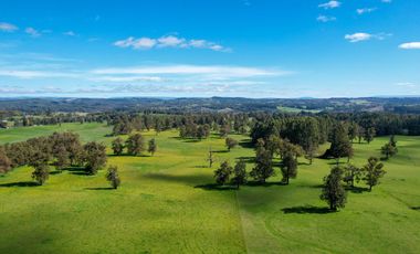 Parcelas en venta en Osorno con agua y electricidad, Proyecto Entre Pellines – Región de los Lagos