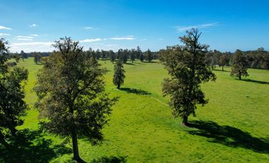 Parcelas en venta en Osorno con agua y electricidad, Proyecto Entre Pellines – Región de los Lagos