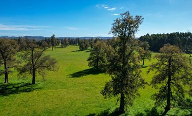 Parcelas en venta en Osorno con agua y electricidad, Proyecto Entre Pellines – Región de los Lagos