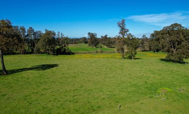 Parcelas en venta en Osorno con agua y electricidad, Proyecto Entre Pellines – Región de los Lagos