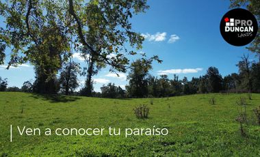 Parcelas en venta en Osorno con agua y electricidad, Proyecto Entre Pellines – Región de los Lagos