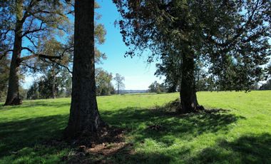 Parcelas en venta en Osorno con agua y electricidad, Proyecto Entre Pellines – Región de los Lagos