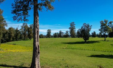 Parcelas en venta en Osorno con agua y electricidad, Proyecto Entre Pellines – Región de los Lagos