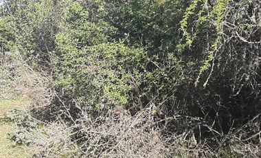 Parcela en San Clemente, Vilches Bajo V 1261-P-22-RR-0.5.20