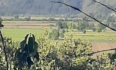 Parcela en San Clemente, Vilches Bajo V 1261-P-22-RR-0.5.20