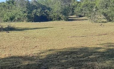 Parcela en San Clemente, Vilches Bajo V 1261-P-22-RR-0.5.20