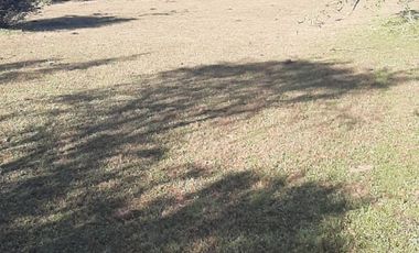 Parcela en San Clemente, Vilches Bajo V 1261-P-22-RR-0.5.20