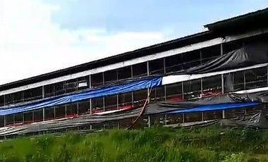 Kandang Ayam Potong Closed House 3 lantai Kapasitas 60 Ribu Ekor, Darangdan Purwakarta