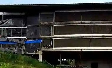 Kandang Ayam Potong Closed House 3 lantai Kapasitas 60 Ribu Ekor, Darangdan Purwakarta