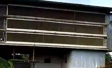 Kandang Ayam Potong Closed House 3 lantai Kapasitas 60 Ribu Ekor, Darangdan Purwakarta
