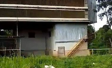 Kandang Ayam Potong Closed House 3 lantai Kapasitas 60 Ribu Ekor, Darangdan Purwakarta