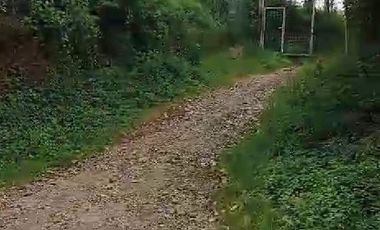 Kandang Ayam Potong Closed House 3 lantai Kapasitas 60 Ribu Ekor, Darangdan Purwakarta