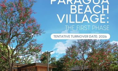 Paragua Beach Village at Paragua Coastown Residential Lot For Sale