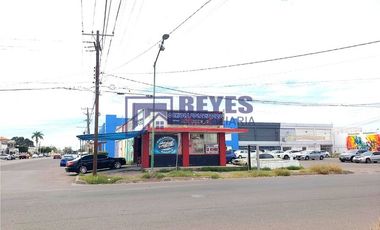 SE VENDE 4 LOCALES COMERCIALES CALLE QUINTANA ROO EN CIUDAD OBREGÓN