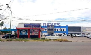 SE VENDE 4 LOCALES COMERCIALES CALLE QUINTANA ROO EN CIUDAD OBREGÓN