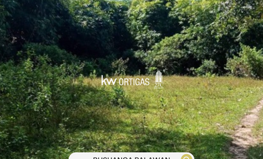 89,000 sqm Vacant Lot for Sale in Concepcion, Busuanga Coron Palawan