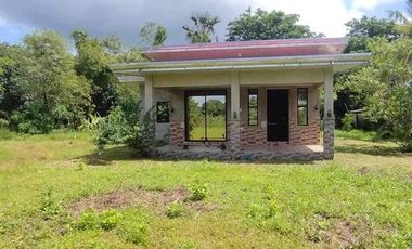1,471 SQM, HOUSE AND LOT FOR SALE IN ANDA PANGASINAN (NON-FLOODING AREA)