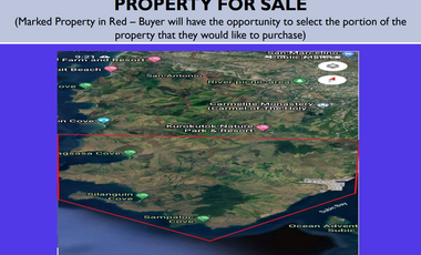 13,123,8215 Hectares Land for Sale at Subic and San Antonio Zambales