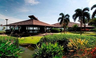 Ayala Greenfield Estates Prime Residential Lot For Sale Calamba Laguna