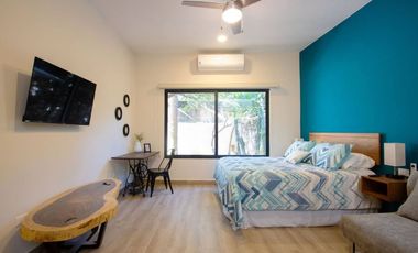 Renta de Loft en Garcia Gineres