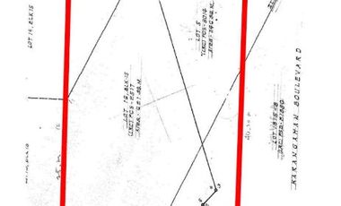 Tabaco Highway Commercial Lot & Buildings
