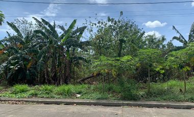 Vacant Lots in Susana Heights, Muntinlupa City