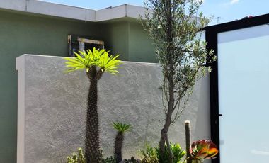 DEPARTAMENTO EN RENTA, Casa Nogal, Santa María La Ribera