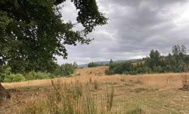 1 HECTAREA HABITACIONAL O COMERCIAL SIN REGLAMENTO