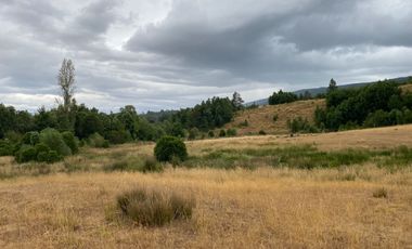 1 HECTAREA HABITACIONAL O COMERCIAL SIN REGLAMENTO