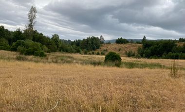 1 HECTAREA HABITACIONAL O COMERCIAL SIN REGLAMENTO