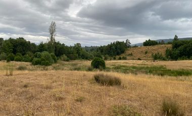 1 HECTAREA HABITACIONAL O COMERCIAL SIN REGLAMENTO