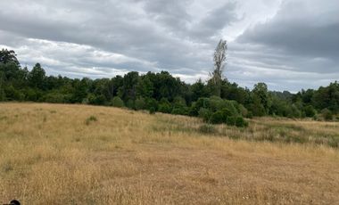 1 HECTAREA HABITACIONAL O COMERCIAL SIN REGLAMENTO