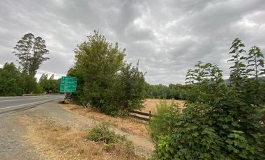 1 HECTAREA HABITACIONAL O COMERCIAL SIN REGLAMENTO