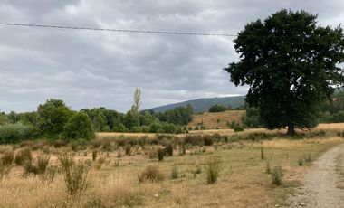 1 HECTAREA HABITACIONAL O COMERCIAL SIN REGLAMENTO