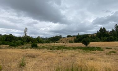 1 HECTAREA HABITACIONAL O COMERCIAL SIN REGLAMENTO