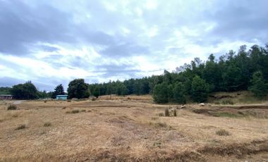 1 HECTAREA HABITACIONAL O COMERCIAL SIN REGLAMENTO