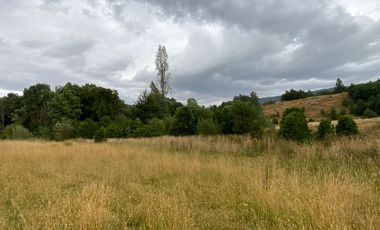 1 HECTAREA HABITACIONAL O COMERCIAL SIN REGLAMENTO