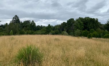 1 HECTAREA HABITACIONAL O COMERCIAL SIN REGLAMENTO