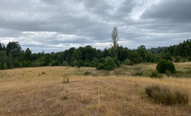 1 HECTAREA HABITACIONAL O COMERCIAL SIN REGLAMENTO