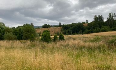 1 HECTAREA HABITACIONAL O COMERCIAL SIN REGLAMENTO