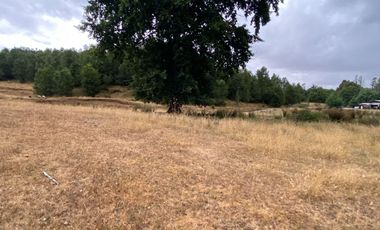 1 HECTAREA HABITACIONAL O COMERCIAL SIN REGLAMENTO