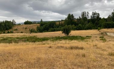 1 HECTAREA HABITACIONAL O COMERCIAL SIN REGLAMENTO