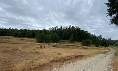 1 HECTAREA HABITACIONAL O COMERCIAL SIN REGLAMENTO