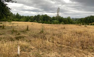 1 HECTAREA HABITACIONAL O COMERCIAL SIN REGLAMENTO