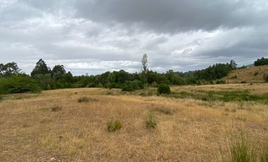 1 HECTAREA HABITACIONAL O COMERCIAL SIN REGLAMENTO