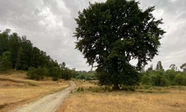 1 HECTAREA HABITACIONAL O COMERCIAL SIN REGLAMENTO