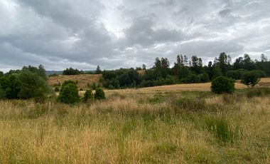 1 HECTAREA HABITACIONAL O COMERCIAL SIN REGLAMENTO