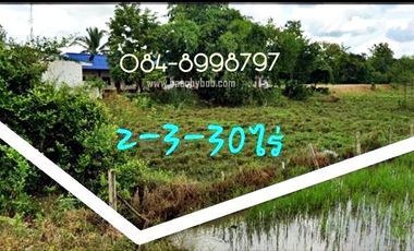 Land for sale, title deed, Krut Daeng, Nong Phai Subdistrict, Nong Phai District, Phetchabun Province, area 2-3-30 rai, next to Thetsaban Road 22. The road frontage is 30 meters wide, only 750 meters from Highway 21 Saraburi-Lom Sak. Urgent sale 3.9 million